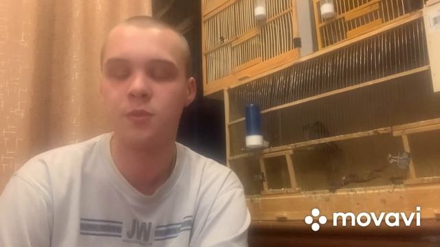 Про отлов птиц часть 2 смотреть онлайн