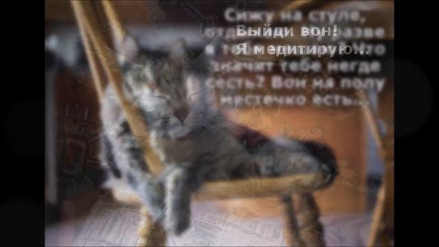 Веселые картинки. Коты смешные котики. Кошки приколы самые смешные. смотреть онлайн