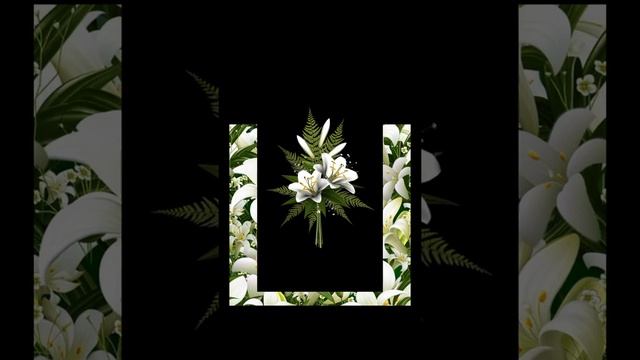 Лилии. Шикарная песня о любви ??