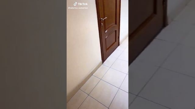 ДИКАЯ ЛЬВИЦА ТЫ МОЯ ЦАРИЦА смотреть онлайн