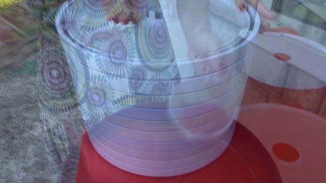 УМНАЯ СУШИЛКА: ГОТОВИМ ЖИВУЮ СЛАДКУЮ ПАСТИЛУ ЗА ОДНУ НОЧЬ.