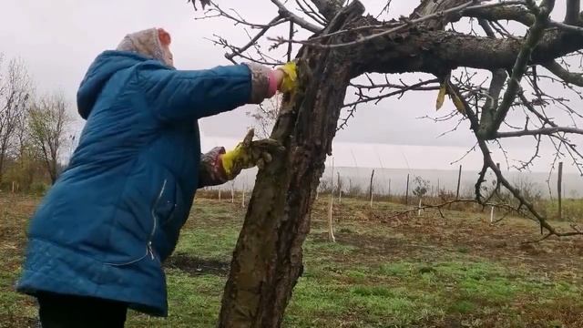 Влог :Купили Дом на Юге /Жизнь в Селе /Это было очень Тяжело / Срезаем Забор/ Добрались до Черешни смотреть онлайн