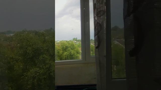 Гигантский комар! смотреть онлайн