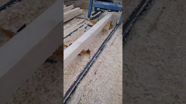 профилированный брус из липы