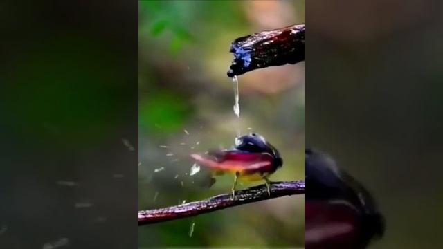 Водные процедуры)) смотреть онлайн