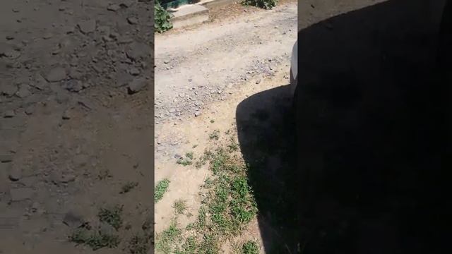 Мастерство в Творчестве