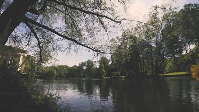 КЕМ МЫ РАБОТАЕМ В ПИТЕРЕ|ЧИСТО ПИТЕРСКИЕ ПРОФЕССИИ|ДЕКОРАТОР,ХУДОЖНИК И Т Д.stas protestas смотреть онлайн