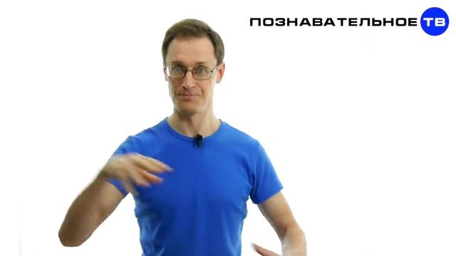 Идите все в баню! (Познавательное ТВ) смотреть онлайн