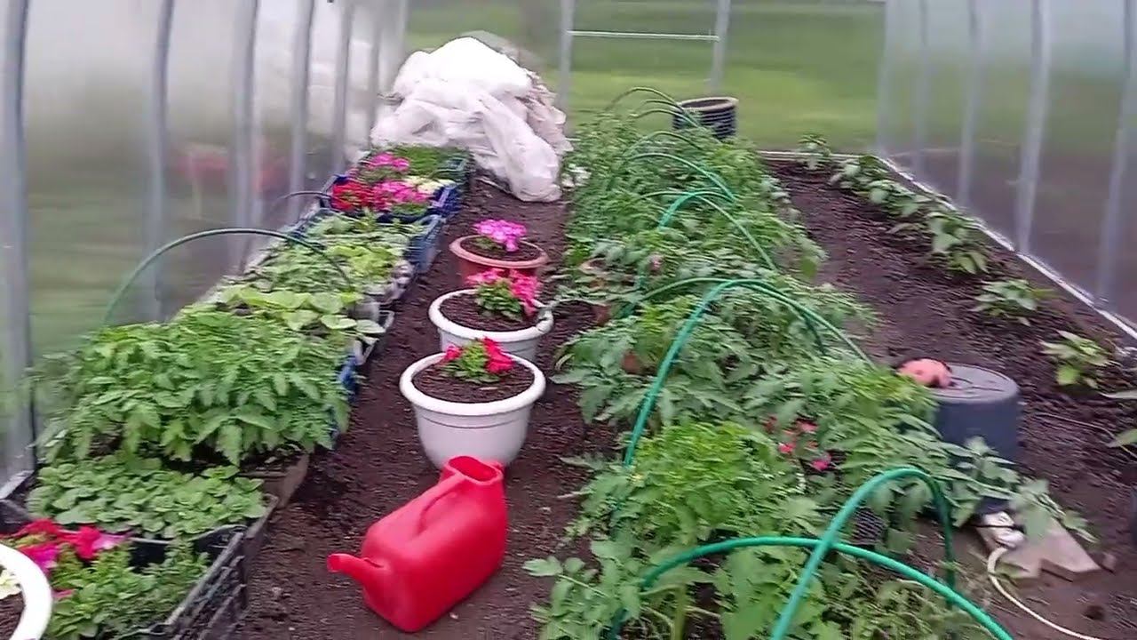 Жизнь в деревне . Деревенские будни .Щей наварю. смотреть онлайн