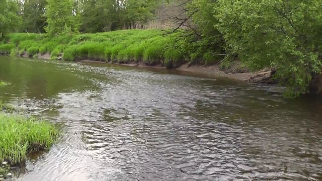 лесная река 1 смотреть онлайн
