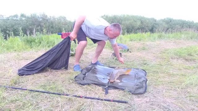 Рыбалка на сазана р.Чулым Здвинский район, улов 9 сазанов..mp4 смотреть онлайн
