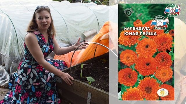 12 ЛУЧШИХ САДОВЫХ ЦВЕТОВ как в детстве - Роскошная клумба на зависть соседям смотреть онлайн