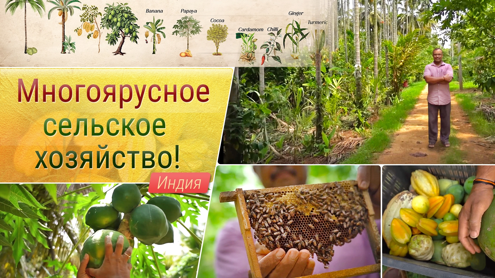 Многоярусное сельское хозяйство!