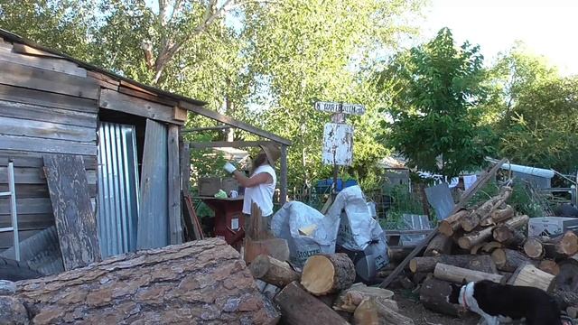CRICK BOTTOM HOMESTEAD Wood Git'n, Lodgepole Building, Do YOU Have a WATER SOURCE and FOOD Put Up? смотреть онлайн