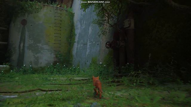 Stray начало -очень милая игра смотреть онлайн