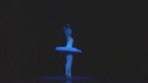Умирающий лебедь Ананиашвили Нина 1991