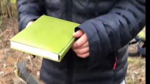 Третий сезон гравити фолз в реальности