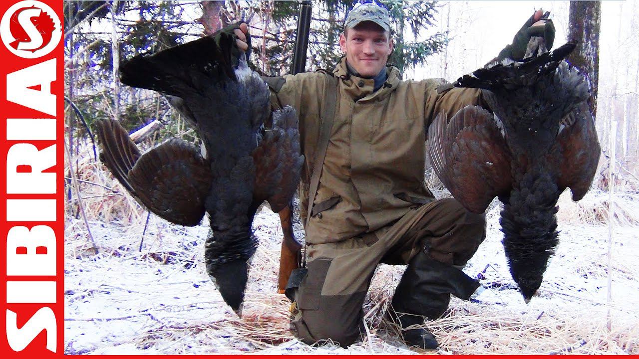 ВОТ ЭТО ТОК! ГЛУХАРИ КРУГОМ! Охота на глухаря на току. Весенняя охота на глухаря с подхода под песню смотреть онлайн