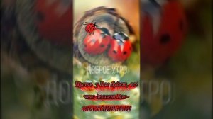 Муз.открытка. Доброе утро!
Пожелание  близким людям.Интересное