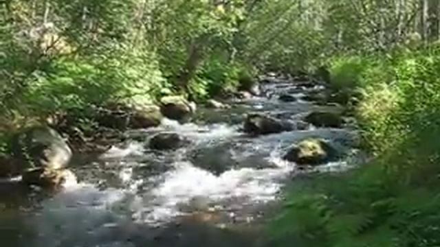 река смотреть онлайн