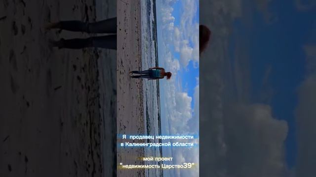 Море Балтики Зеленоградск смотреть онлайн