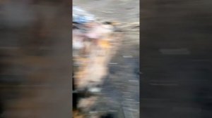 ремонт мотора Д-160