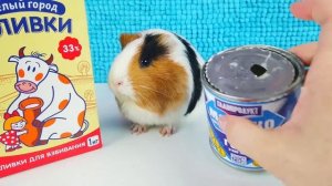 САМЫЙ ЛУЧШИЙ ЛАЙФХАК из ТИК ТОК - ЖАРИМ МОРОЖЕННОЕ! Ice Cream ЧЕЛЛЕНДЖ от СВИНКА БУЗЯ