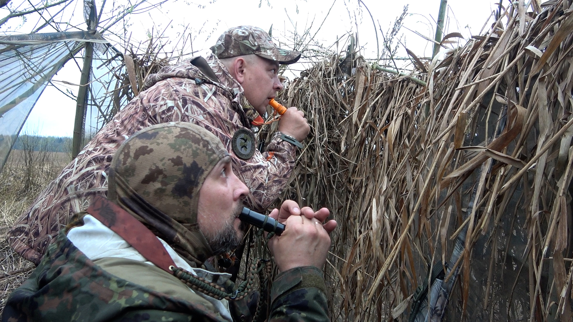 Охота на гуся на Вологодчине #27.1 Открытие сезона смотреть онлайн