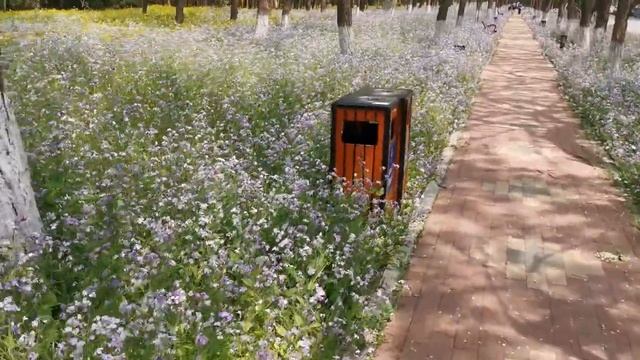 В одном из Университетов в г. Шэньян, Китай. смотреть онлайн
