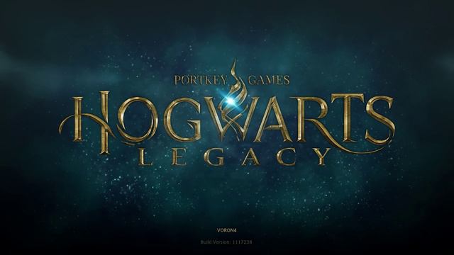 Hogwarts Legacy - Ultra Settings - Ryzen 5 5600 - RTX 3060 Ti смотреть онлайн