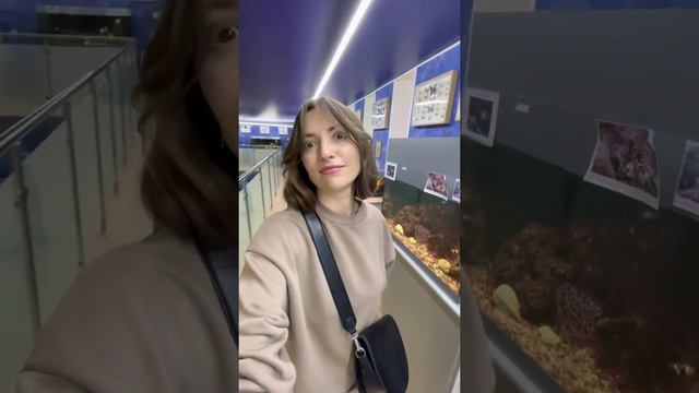 Аквариум. Челябинск. 01/10/21 смотреть онлайн