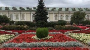 Целительное и мощное место силы - Александровский сад.