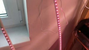 Фитолампа своими руками