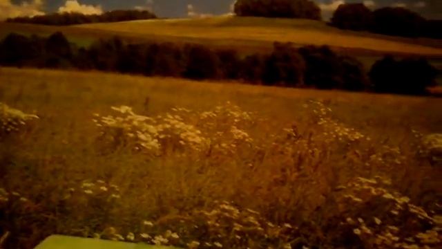 Стеклянный стол для кухни. смотреть онлайн