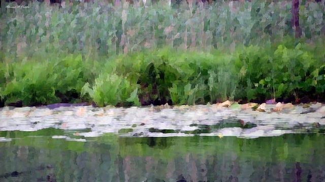 Adagio In G Minor (Albinoni)