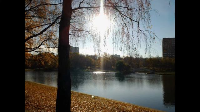 Дмитрий TV. Осень. 20 октября 2015 года. Парк Дружбы. Фото мои. смотреть онлайн