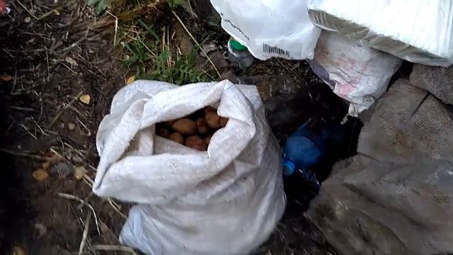 Ласка в тайге смотреть онлайн