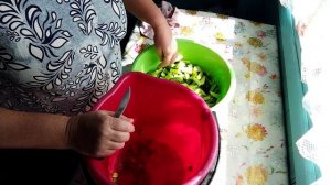 Огурцы в горчичной заливке. Поругалась с соседями.