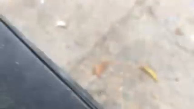 Стук в двигателе ауди А6 С4 2.5 ТДИ