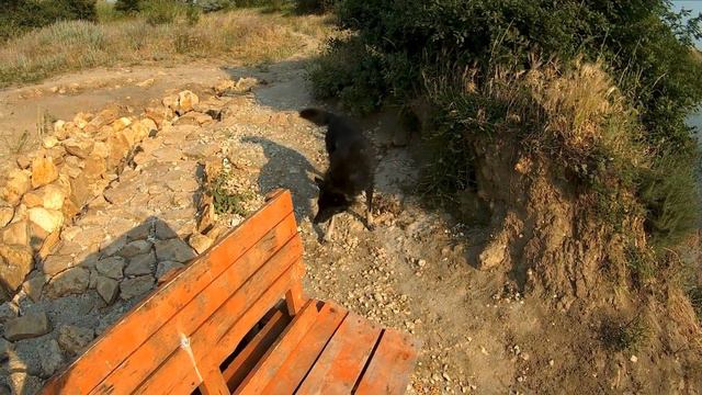 Маяк, пляж в воде смотреть онлайн