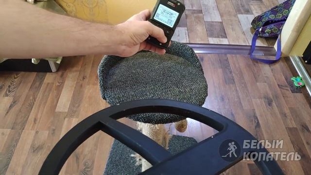 Новый фокус с XP Deus 2 и XP ORX смотреть онлайн