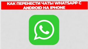 КАК ПЕРЕНЕСТИ ЧАТЫ WHATSAPP С ANDROID НА IPHONE