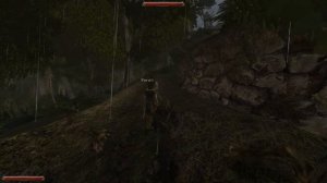 Готика 2. Золотые врата. Серия 5. Маги Воды.