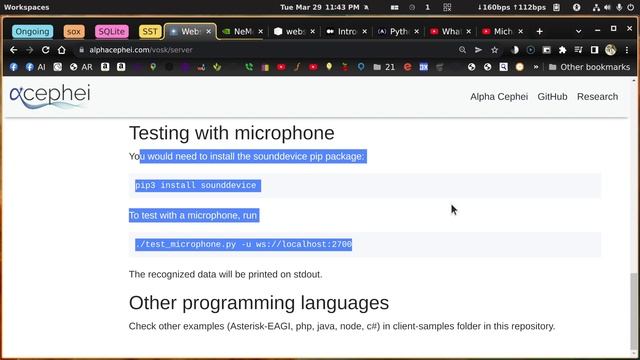 More problems with vosk-server смотреть онлайн