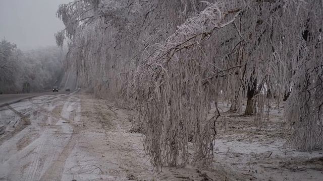 Фото смотреть онлайн