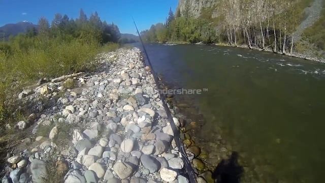 Чарыш, первая рыбалка осени 2013 смотреть онлайн