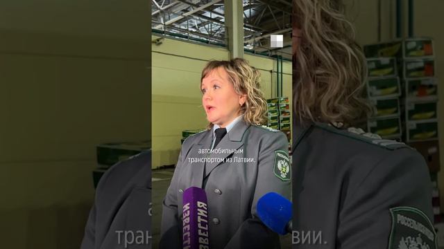 В Екатеринбург приехали 25 фур с цветами #цветы #8марта #екатеринбург смотреть онлайн