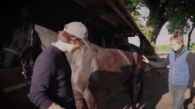 Measuring Formahoof with Metron Eponamind смотреть онлайн
