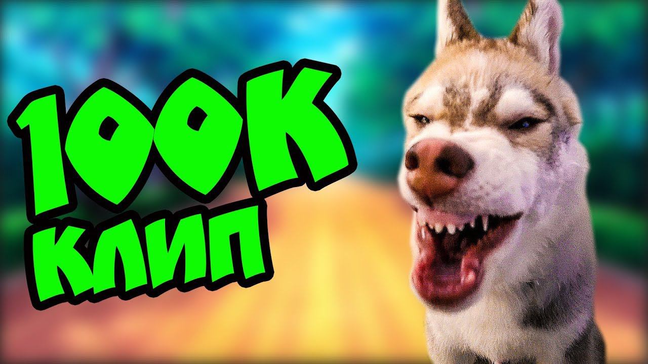 Я НЕ МЕЛКИЙ Я НЕ ДРЫЩ! И ПОДПИСЧИКОВ СТО ТЫЩ! Хаски Бублик. Говорящая собака смотреть онлайн