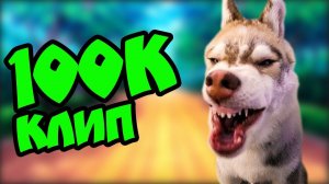 Я НЕ МЕЛКИЙ Я НЕ ДРЫЩ! И ПОДПИСЧИКОВ СТО ТЫЩ! Хаски Бублик. Говорящая собака